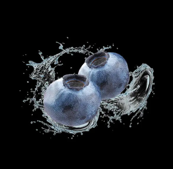Adalya Blueberry Pie Adalya